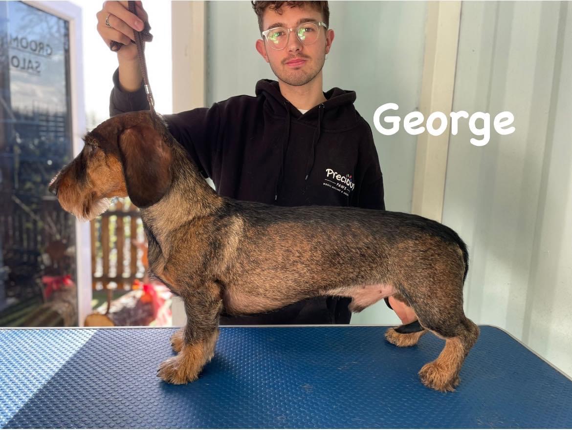 Head Groomer
